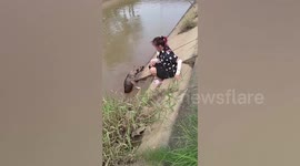 Heartwarming moment family save injured stray dog from drowning in dirty river in Thailand