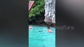 Wild monkeys behave like pirates raiding tourist sightseeing boats in Thailand
