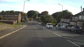 Runaway dog forces London drivers to perform emergency brake after sprinting onto road