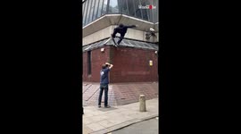 Skateboarder learns the hard way that you can't win every day