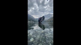 Cute dog swims for the first time and paddles like a pro!