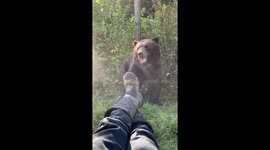 The bear attacked the boot