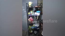 'Oh my god': people shout as they feel strong tremors in house during earthquake in Philippines