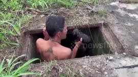 Villagers fish out helpless stray puppy wading in storm drain in Thailand