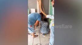 Kitten trapped behind family's newly-renovated wall rescued in Thailand
