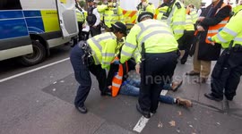 Police arrest Just Stop Oil activists blocking Piccadilly road in London