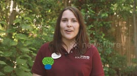 Meet Icana, a Baby Porcupine That Is Taking the World by Storm