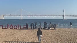 1.5 million Chrysanthemums at Gwangalli Beach