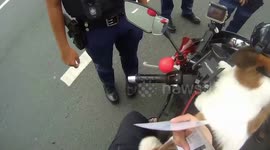 Pet dog riding motorcycle charms officers at police checkpoint