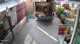 Stowaway pet cat jumps into delivery van which takes it on an hour long drive