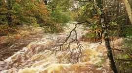 River floods as intense rain batters Northern Ireland