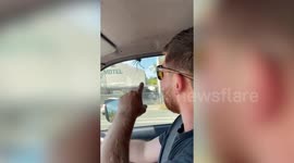 Couple ‘held hostage’ in their car by a GIANT huntsman spider