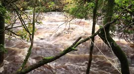 Flooding River In N. Ireland After Intense Rainfall Event (ground video)
