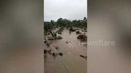 Typhoon Nalgae submerges homes and trees in the Philippines