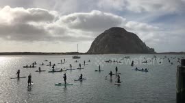 Hundreds Of Witches Paddle Morro Bay California 2022