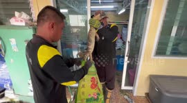 Volunteers catch monitor lizard in warehouse after brave pet dog fends it off in Thailand