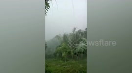 Trees sway as Typhoon Nalgae lashes the Philippines