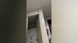 Cat owner suffers instant karma after ordering pet feline to catch cockroach
