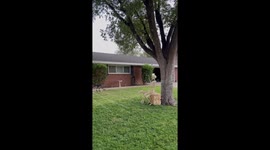 Fun-loving family wins Halloween 2022 with their WILD 'Skeleton Mania' decoration idea