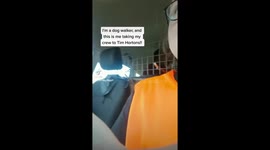 Dog Walker Takes Her Doggie Crew to a Canadian Coffee Shop for Donuts!