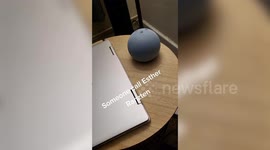 Dad claims his new Alexa told him to 'punch his kids in the throat' when he asked it how to 'stop them laughing'