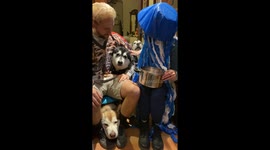 Giving out Halloween Treats was made harder when our 3 funny Alaskan Malamutes wanted to push their way past