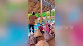 Swimming waiter dives into pool after serving food to customers at resort in Thailand