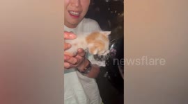 Kind sisters rescue kitten stuck inside car bumper during storm in Thailand