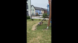Toddler pretends to get hurt so his sister could rescue him and give him attention