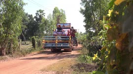 A convoy rural Thailand style, a rice harvester, a skylab full of grass, and tractor with plough, on a small rural road.
