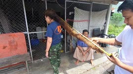 Superstitious Thai woman refuses to have haircut for 10 years as 'cursed' hair keeps regrowing in tangles