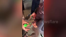 Fairground hack! Carnival-goers heat darts with lighter to pop balloons on coconut shy