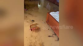 Creepy moment dozens of catfish swim across woman's flooded bedroom