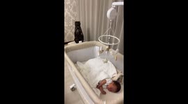 Odd babysitting: Owl-looking cat watches over sleeping baby