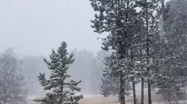 Cold front moves through Colorado bringing heavy snow