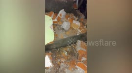 Wall collapses after magnitude 5.7 earthquake in El Salvador