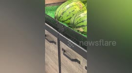 Bizarre scene as Chinese shopper captures moment leaky watermelon sprays water over shop floor