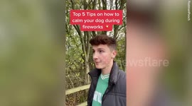 Pet-care entrepreneur shares tips to help your pooch make it through Bonfire Night