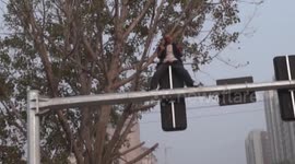 Drunk man performs martial arts on top of traffic lights