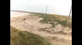 Storm Barney