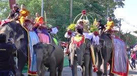 World's largest buffet for elephants