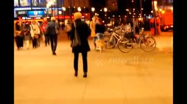 Dog skateboarding in Berlin