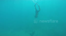 Unexpected Discovery For A Diver