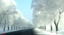 Dashcam captures beautiful freezing fog formed along China road