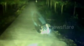 Drunk man falls asleep while hugging a stray dog in the middle of the road