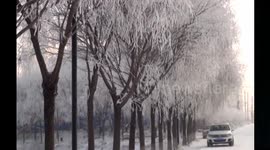 People enjoy beautiful freezing fog scenery in Northeastern China
