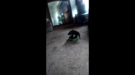 Blessings playing with her toy