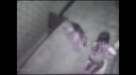 Dog attacks three-year-old girl on her way home with mother