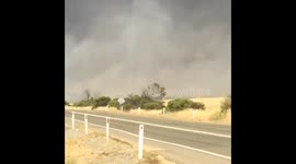 Pinery bush fire