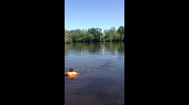 New Orleans man jumps in swamp with multiple alligators